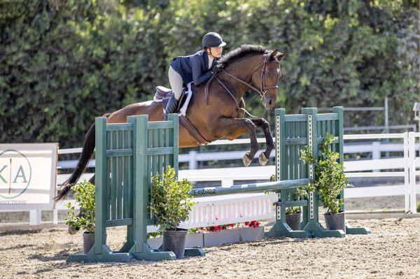 Foxfield Riding School