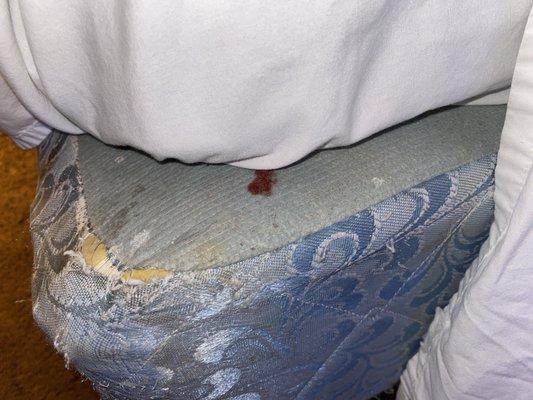 Blood on bed. Shape of bed