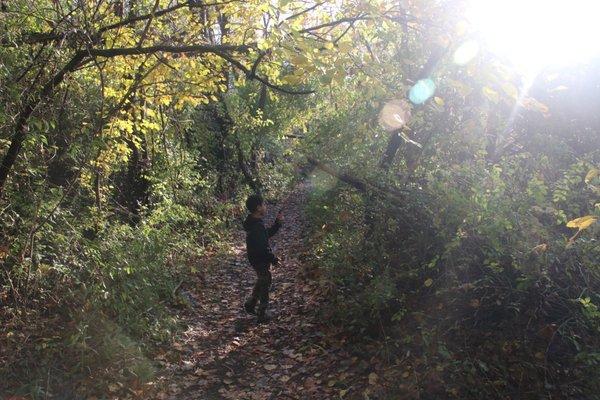 The Lil Dude enjoying the trails while imagining a pad Thai, bar area, and dessert menu at the same time.