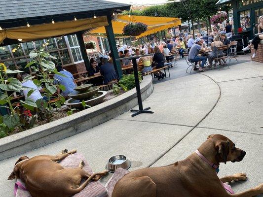 We love lazy summer days at the beer garden