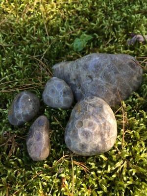 Petsokey stones!