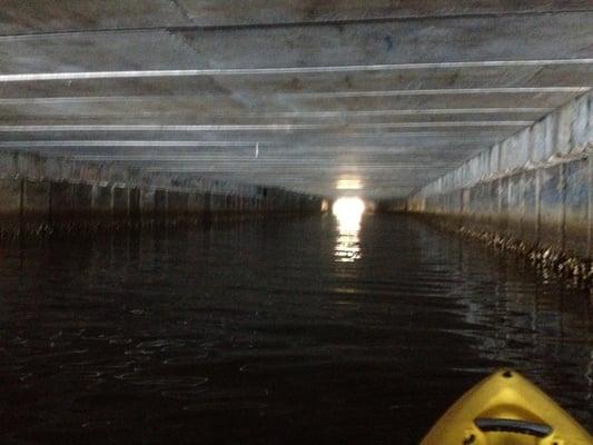 Kayaking on McCoy's Creek the runs underneath the Times Union Building.