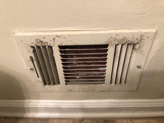 Mold in the bathroom vent