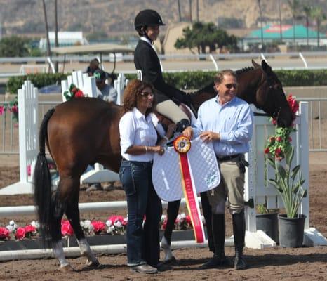 Concord Equestrian Center