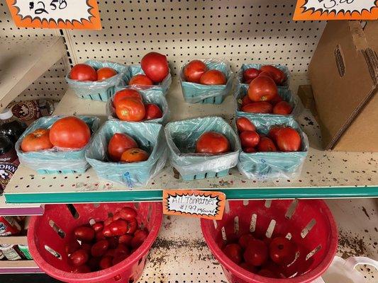 Tomatoes of all kinds