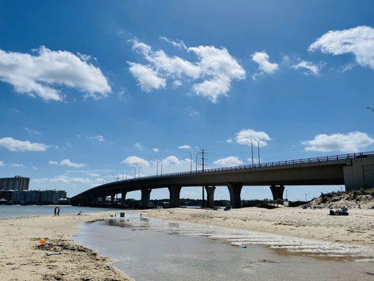 Tide pool and Lesner Bridge