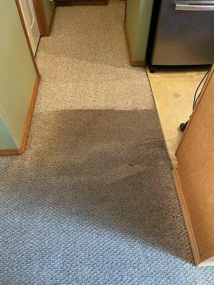 Not all carpet cleaning is the same