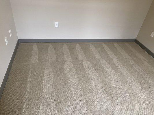 carpet cleaning