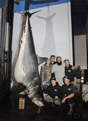 Standing World Record Mako! 1323.5 lbs caught June 2013