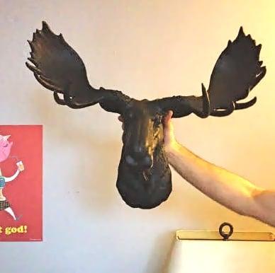 Brought our new Moose head home. Can't wait to put it up