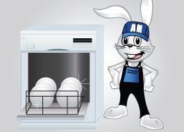 Dishwasher Repair