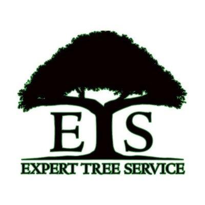 Expert Tree Service