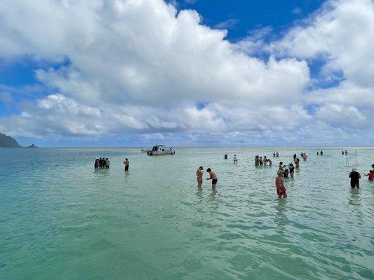 Kaneohe sandbar