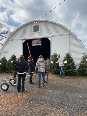 Palmer Christmas Tree Farm