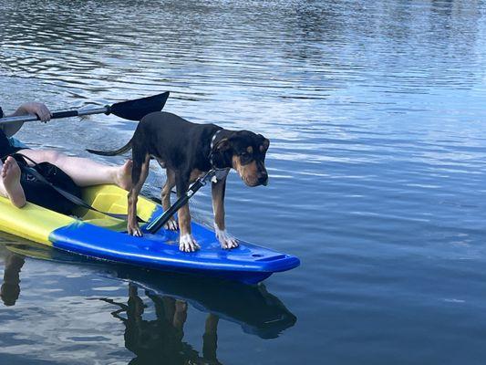 Dint forget the first babies! Bring'em along for a little time on the water!