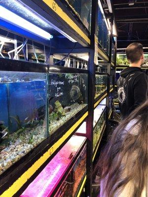 Row of tanks at the store