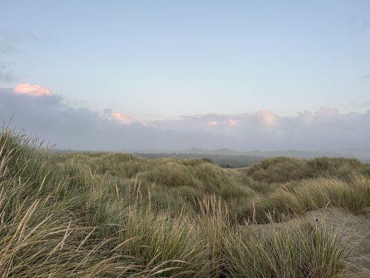 Walking through the dunes to the beach