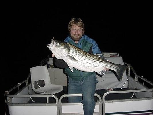 big striper