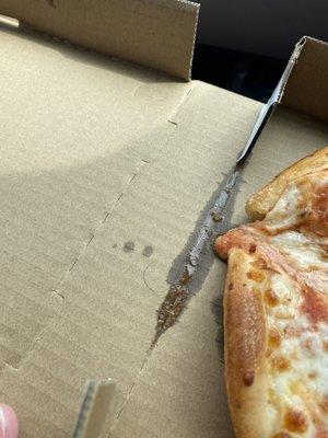 HAIR NEXT TO THE PIZZA!!! FOUR OF OUR PIZZAS HAD HAIRS IN, UNDER, AND NEXT TO THE PIZZAS!!! SHUT THIS PLACE DOWN!!