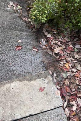 Drove off the driveway and btoke the water main when they dropped off the dumpsters.