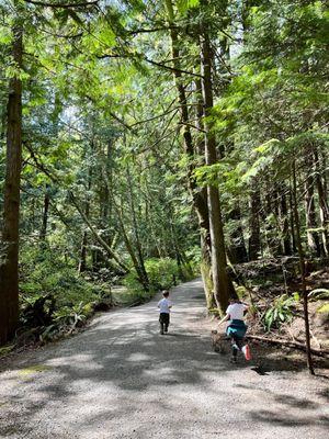 Lake Padden Park