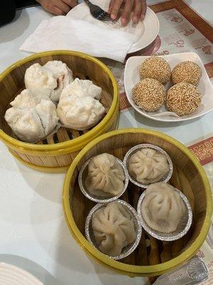 BBQ pork bun, sesame balls, Shanghai style dumpling (xlb)