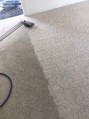 Quality Carpet Care