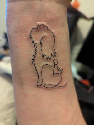 Memorial tattoo for my baby Poof. This picture is an hour after getting it done