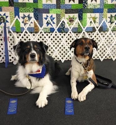 Newly awarded Canine Good Citizens!