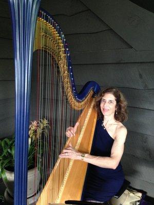 Lisa Handman of Harpnotes with a beautiful, rare Electric Harp