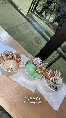 Chocolate Chip Ice cream, pistachio ice cream, Oreos N Cream ice cream. Customizable mini donuts