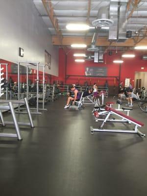 Benches, racks, free weights, etc