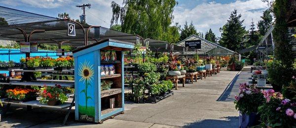 The nursery is much larger than it appears from the street.