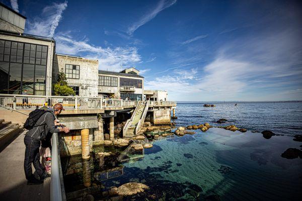 Monterey Bay Aquarium