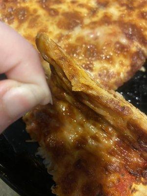 The Big Cheese Pizza (with a hair baked into it under the layers of cheese)