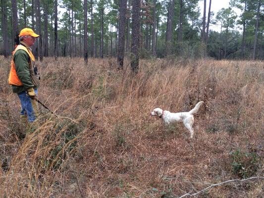 Great dogs and great guides!