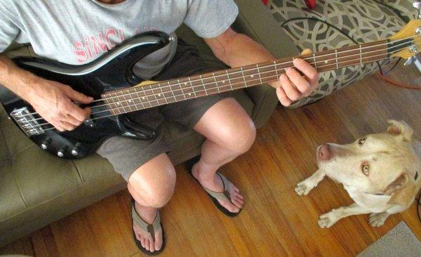 Solid Bass for a great price. And a furry pal...