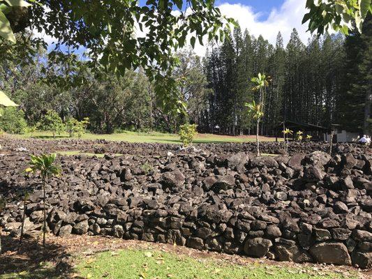 Heiau