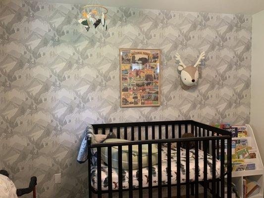 Baby's room. Forest/national parks vision.