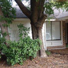 Trees growing to close to the slab foundation can cause settlement and plumbing problems