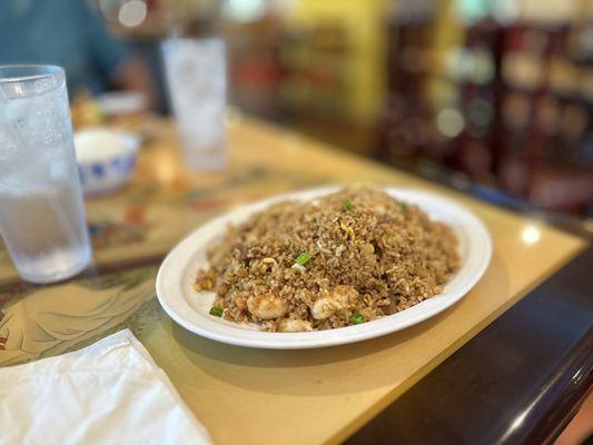 Huge portion of Fried Rice (Dinner size)