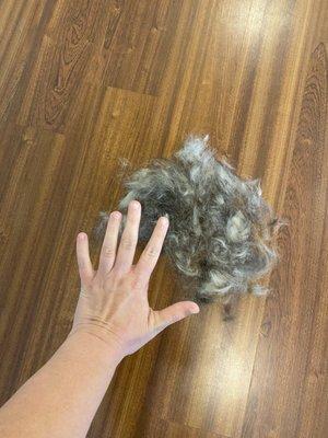 The hair I got off of my dog after her grooming session with Furminator. This isn't even all of it. So mad!