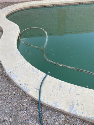 Green pool that was never fixed