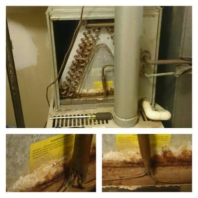 Leaking Evaporator Coil, a common place of failure in most Air Conditioning system.