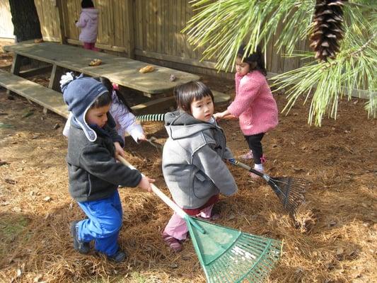 Caring for Franklin's outdoor environment...little stewards of the world