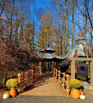 The Blueberry Treehouse Farm