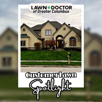 Customer Lawn Spotlight: Beautiful Lawn 
This month, we're thrilled to celebrate this lawn, a true example of dedication and care!