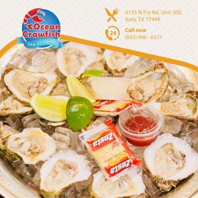 When you feel lost, you should come and enjoy oysters. 
 With their strong taste of the sea, you will be happy and start making plans!!!