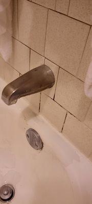 Dirty grout, leaky faucet