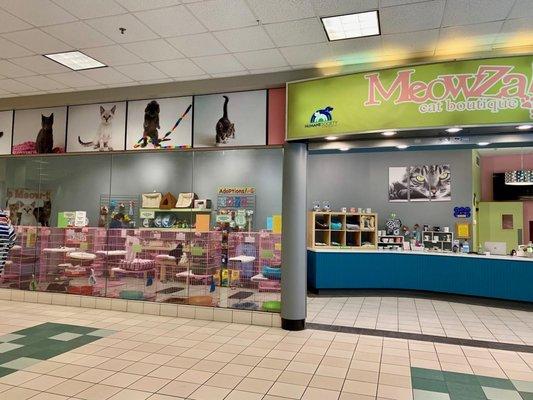 The MeowZa Cat Boutique store front located inside the Dayton Mall.